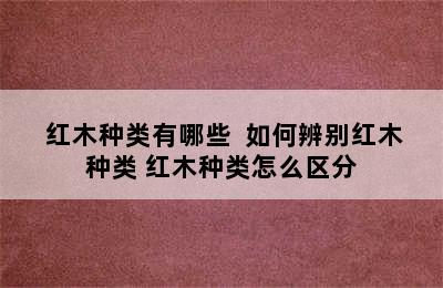  红木种类有哪些  如何辨别红木种类 红木种类怎么区分